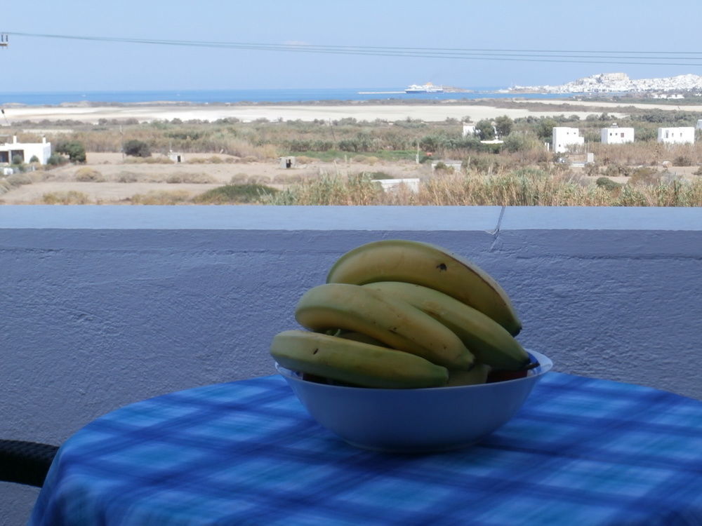 Agnadi Hotel Agia Anna  Exteriör bild